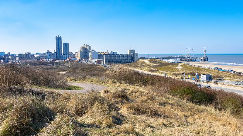 A picture of The Hague. In front there is nature, in the back you see the city of The Hague.