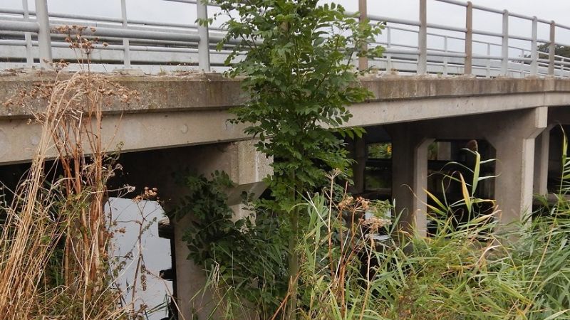 Een foto van een brug in Noord-Holland.