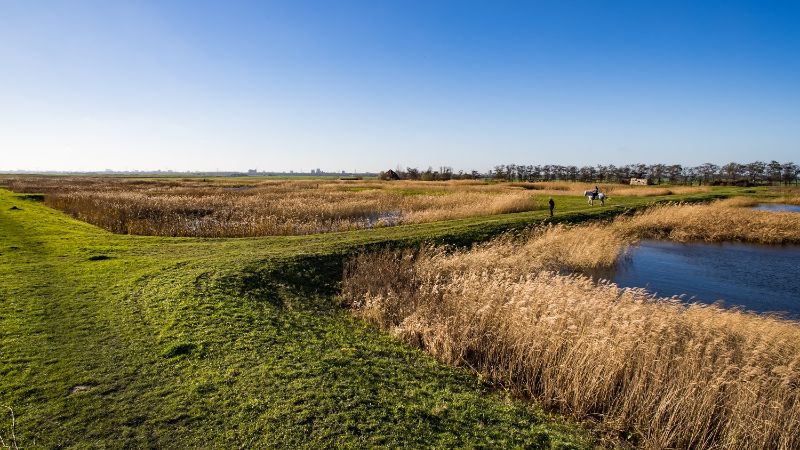 A photo of a polder.