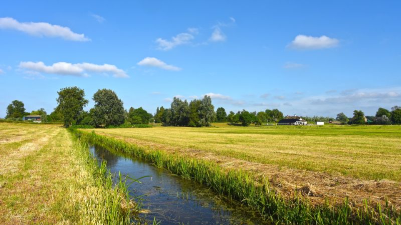 A photo of a ditch in the Netherlands.