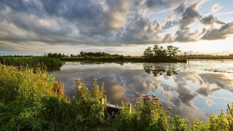 A photo from the Alde Feanen.