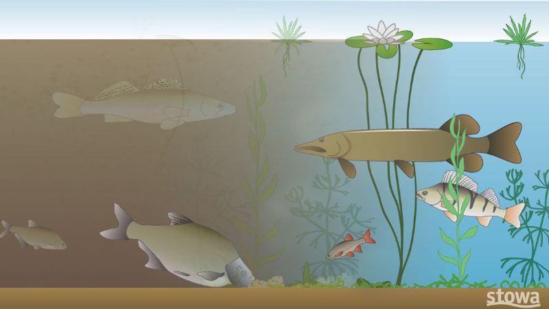 Een illustratie. Links zie je vies water en rechts is het water schoon.