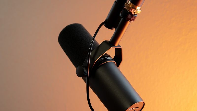 A photo of a microphone.