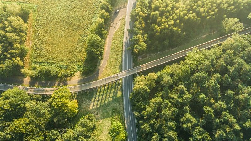 An aerial view of a road and a cycle bridge in a green setting.