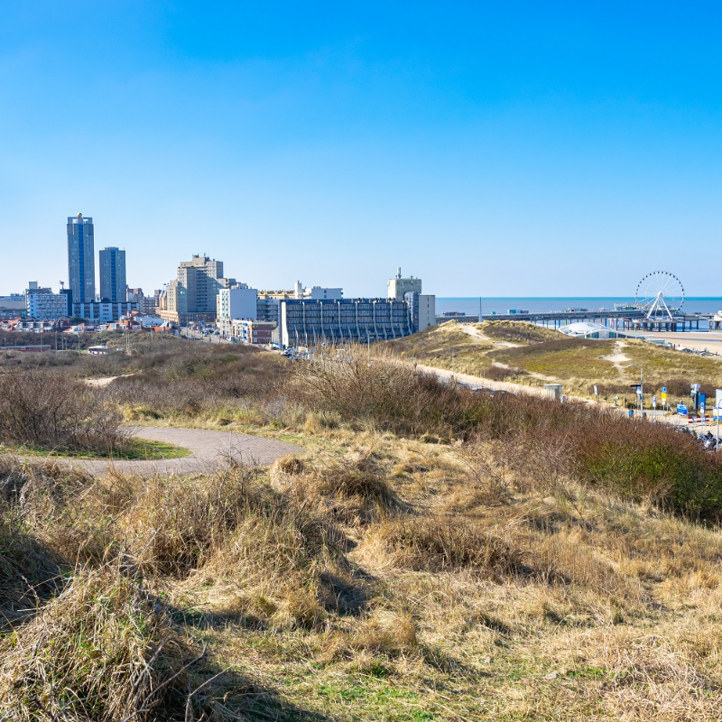 A picture of The Hague. In front there is nature, in the back you see the city of The Hague.