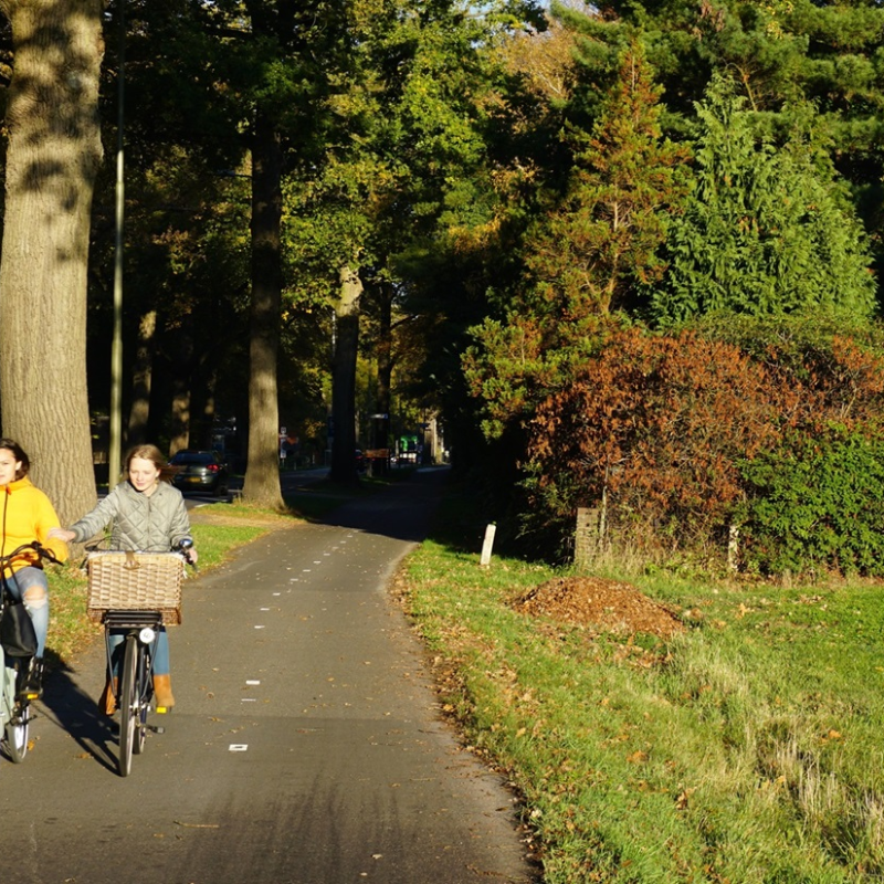 Een foto van 2 jonge kinderen op de fiets over een geasfalteerd fietspad naast een weg.