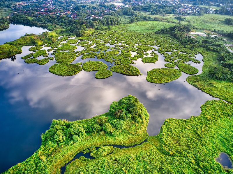 Een luchtfoto van een groen gebied met veel water.