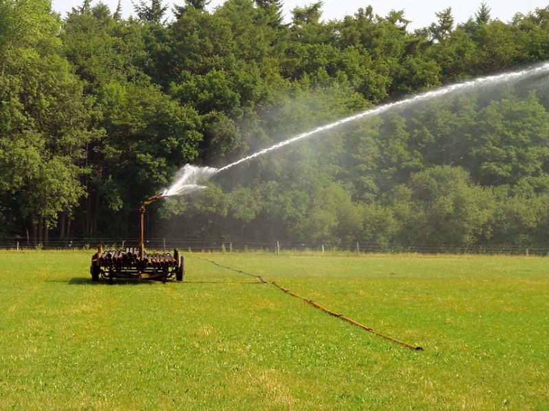 A meadow sprayed with water.