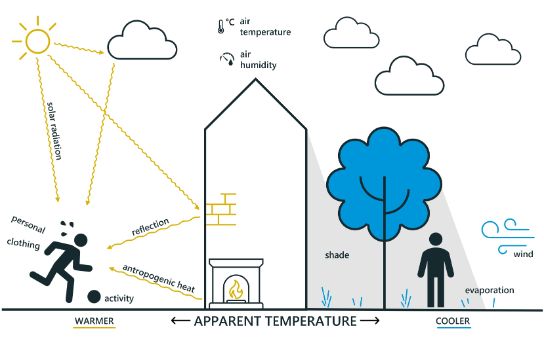 An illustration of the wind chill. One person stands still under the shade of a tree and is cool. The other person is standing in the full sun, moving and is very hot.