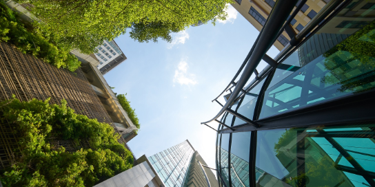 Photo taken from the ground upwards. You can see apartment buildings and a blue sky.