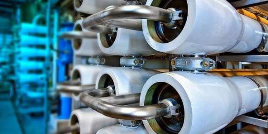 A close-up photo of a water plant.