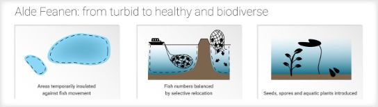 From turbid to healthy and biodiverse water systems.