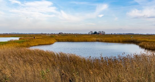 A picture of a lake.