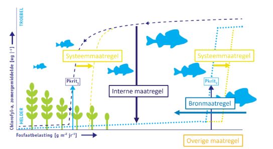 An illustration of various measures to improve water quality.