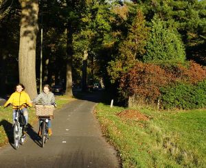 A photo of 2 young children riding their bicycles along an asphalted bike path next to a road.
