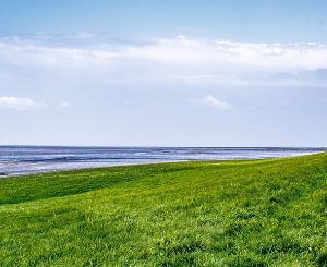 A wide landscape shot of a green dike.