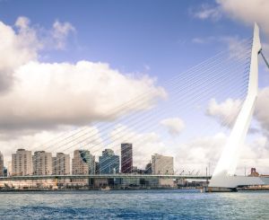 A photo of the Erasmus Bridge in Rotterdam on a sunny day.