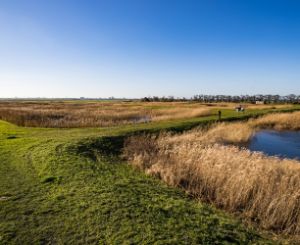 A photo of a polder.