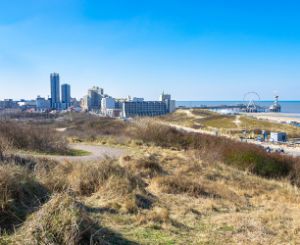 A picture of The Hague. In front there is nature, in the back you see the city of The Hague.