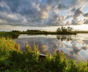 A photo from the Alde Feanen.