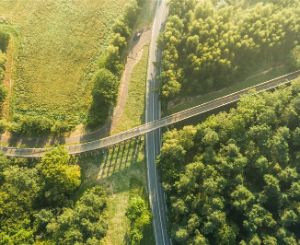 An aerial view of a road and a cycle bridge in a green setting.