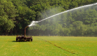 A meadow sprayed with water.