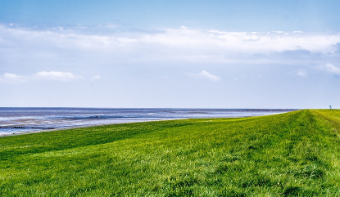 A wide landscape shot of a green dike.