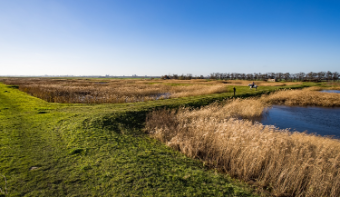 A photo of a polder.