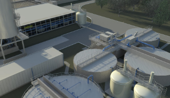 A photo of a waterplant.