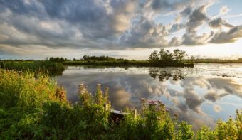 A photo from the Alde Feanen.