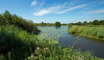 A picture of the Alde Faenen.