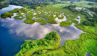 An aerial view of a green area with lots of water.
