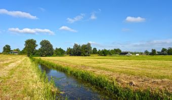 A photo of a ditch in the Netherlands.